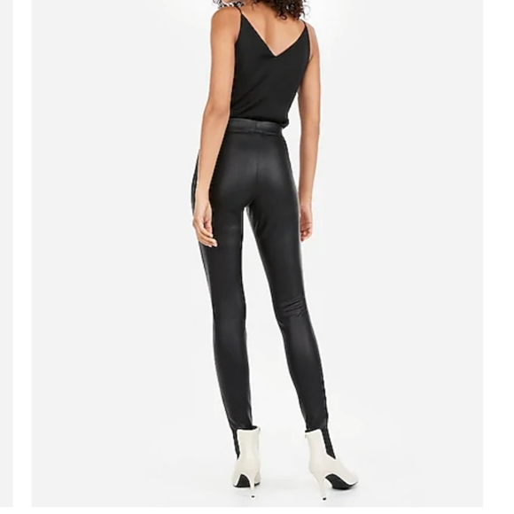 long haired greyhound dog